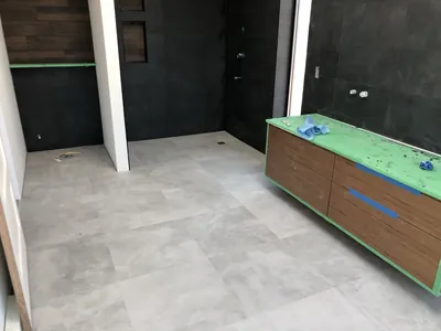 Custom Ensuite Curbless Shower w/ Niche Feature, and Feature Wall above Toilet 4