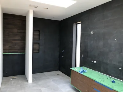 Custom Ensuite Curbless Shower w/ Niche Feature, and Feature Wall above Toilet 6
